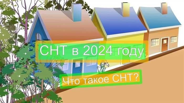 СНТ в 2024 году